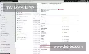 轻蜂加速器——洞察风险,预防隐患,保护您的数字资产!